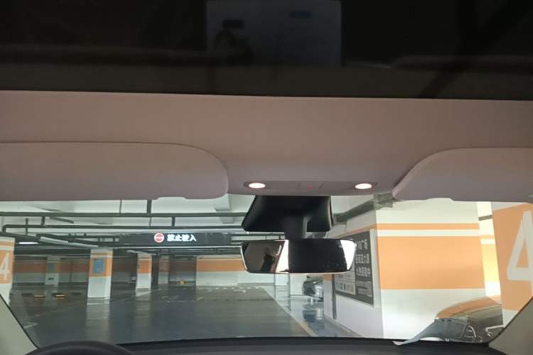 Used Tesla Model Y 2021 Long-Range All-Wheel-Drive Version Headliner