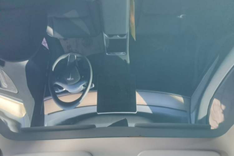 Used Tesla Model Y 2021 Long-Range All-Wheel-Drive Version Headliner