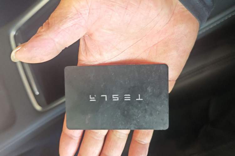 Used Tesla Model Y 2021 Long-Range All-Wheel-Drive Version Interior 1