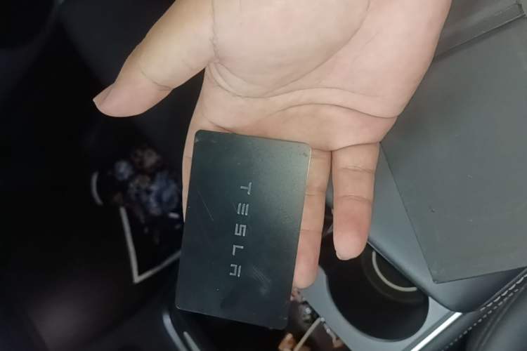 Used Tesla Model Y 2021 Standard Range Rear-Wheel Drive Version Interior 1