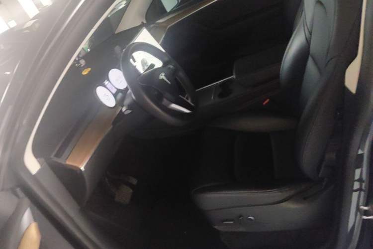 Used Tesla Model Y 2021 Standard Range Rear-Wheel Drive Version Left Front Seat