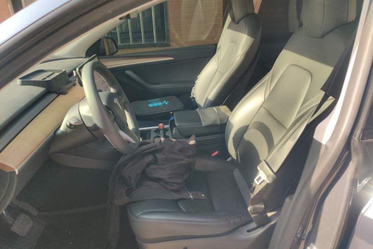 Used Tesla Model Y 2021 Revised Version 2 Long-Range All-Wheel-Drive Edition Left Front Seat