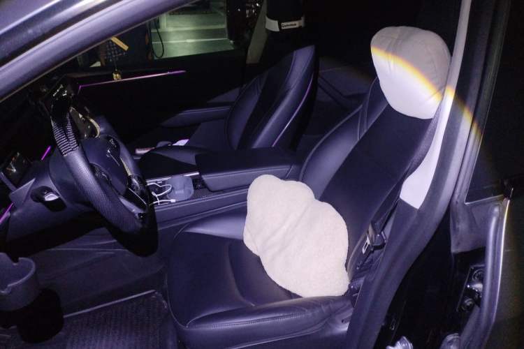 Used Tesla Model Y 2021 Standard Range Rear-Wheel Drive Version Left Front Seat