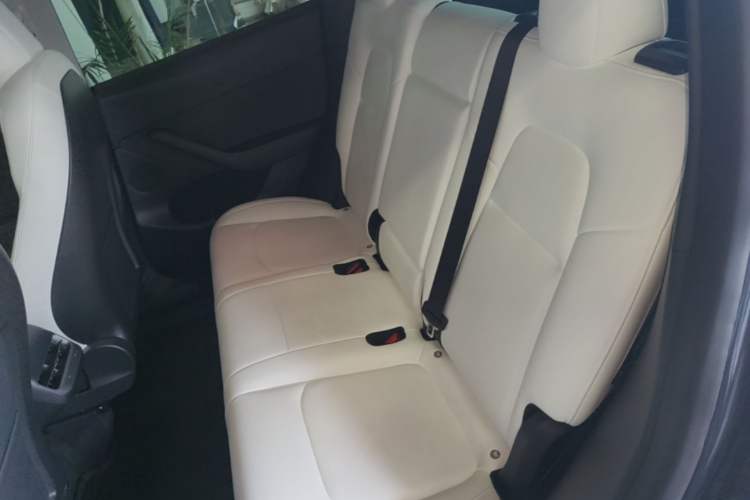 Used Tesla Model Y 2021 Revised Version 2 Long-Range All-Wheel-Drive Edition Left Rear Seat