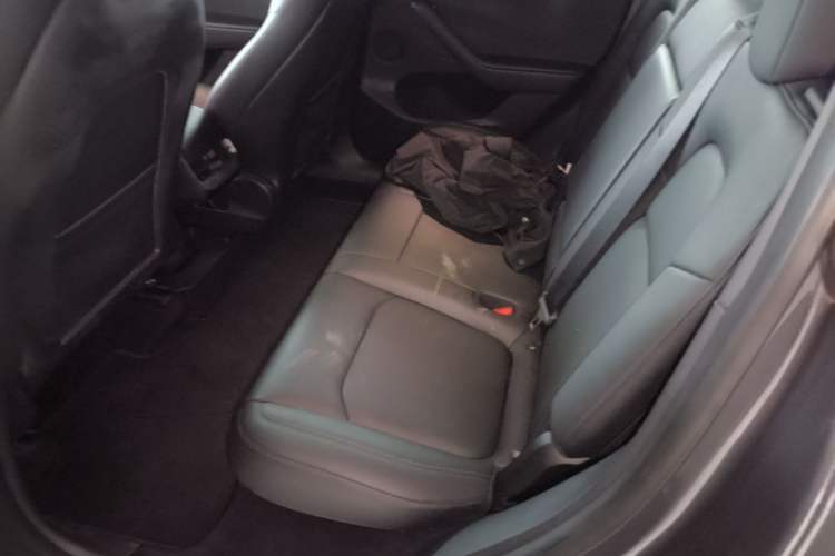 Used Tesla Model Y 2021 Long-Range All-Wheel-Drive Version Left Rear Seat