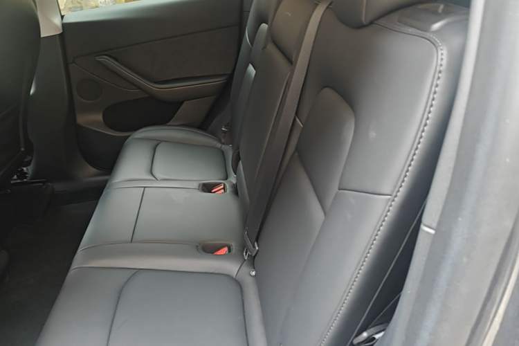 Used Tesla Model Y 2021 Standard Range Rear-Wheel Drive Version Left Rear Seat