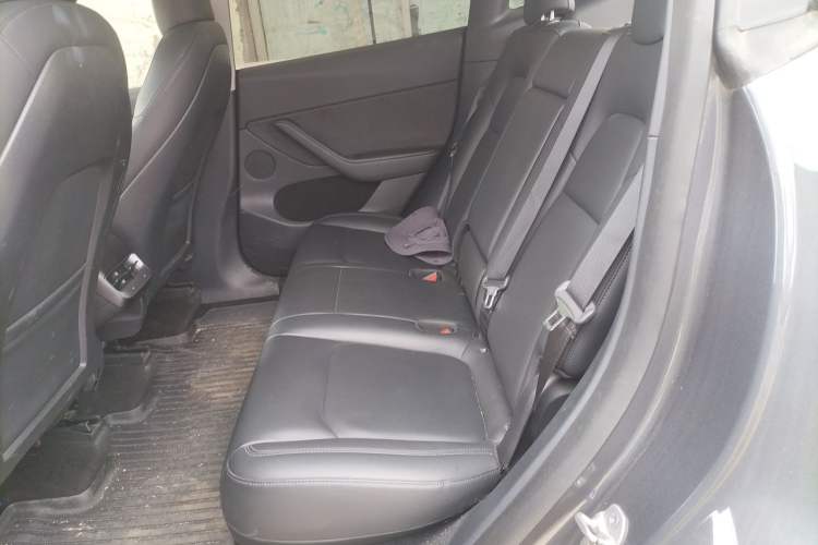 Used Tesla Model Y 2021 Revised Version Long-Range All-Wheel Drive Edition 3D5 Left Rear Seat
