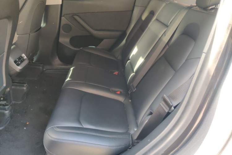 Used Tesla Model Y 2021 Revised Version 2 Long-Range All-Wheel-Drive Edition Left Rear Seat