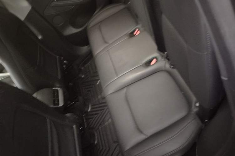 Used Tesla Model Y 2021 Standard Range Rear-Wheel Drive Version Left Rear Seat