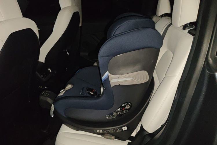 Used Tesla Model Y 2021 Long-Range All-Wheel-Drive Version Left Rear Seat