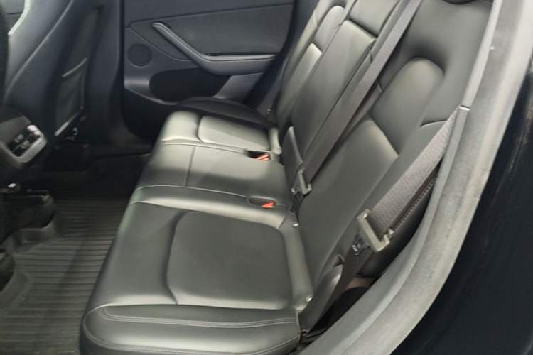 Used Tesla Model Y 2021 Long-Range All-Wheel-Drive Version 3D7 Left Rear Seat