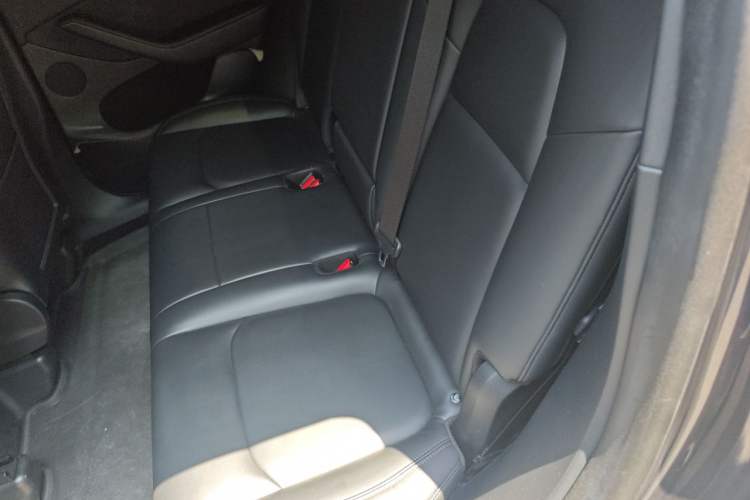 Used Tesla Model Y 2021 Long-Range All-Wheel-Drive Version Left Rear Seat