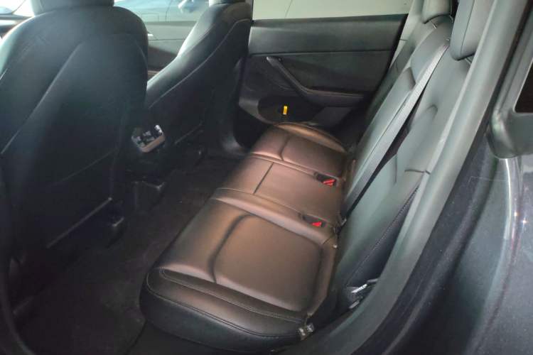 Used Tesla Model Y 2021 Standard Range Rear-Wheel Drive Version Left Rear Seat