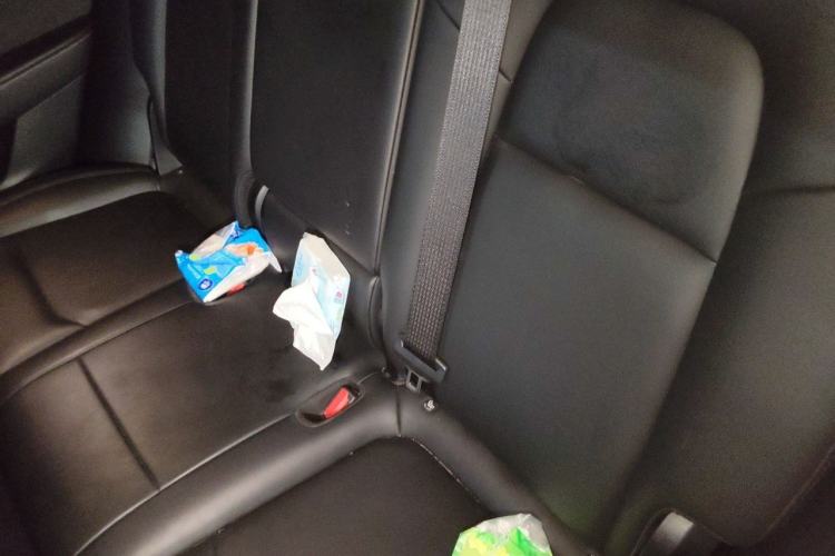 Used Tesla Model Y 2021 Standard Range Rear-Wheel Drive Version Left Rear Seat