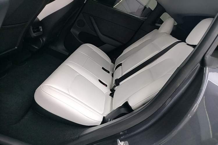 Used Tesla Model Y 2021 Long-Range All-Wheel-Drive Version Left Rear Seat