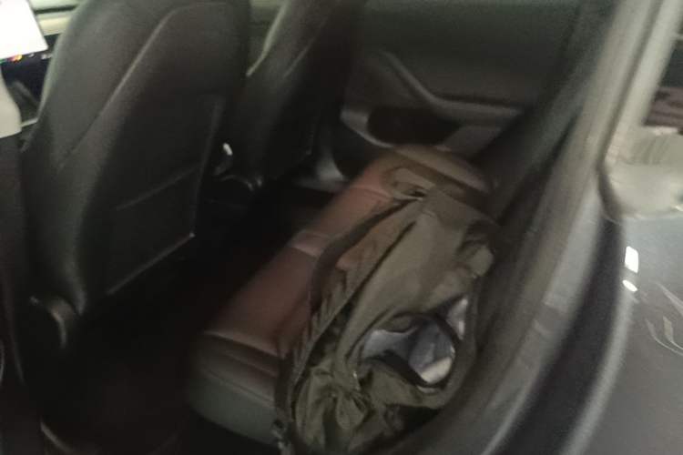 Used Tesla Model Y 2021 Long-Range All-Wheel-Drive Version Left Rear Seat