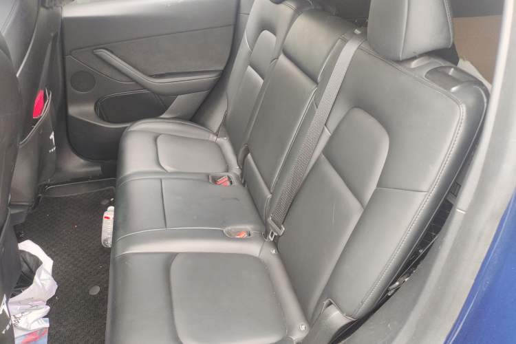 Used Tesla Model Y 2021 Revised Version 2 Long-Range All-Wheel-Drive Edition Left Rear Seat