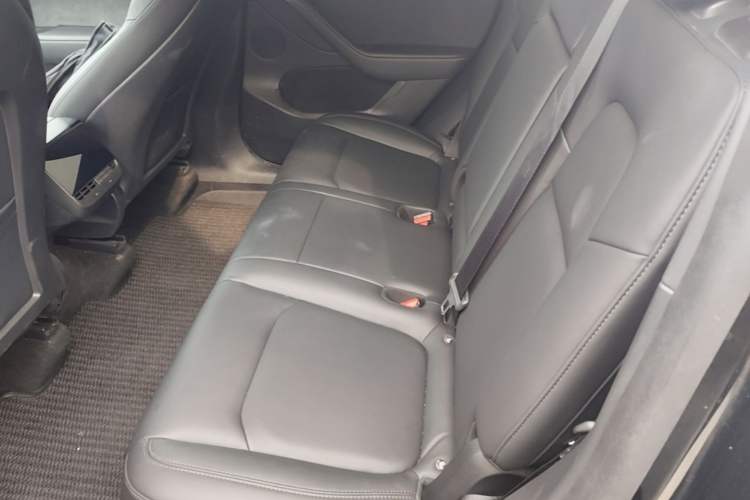 Used Tesla Model Y 2021 Long-Range All-Wheel-Drive Version Left Rear Seat