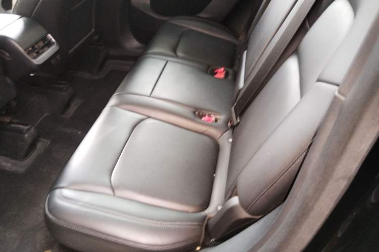 Used Tesla Model Y 2021 Revised Version 2 Long-Range All-Wheel-Drive Edition Left Rear Seat