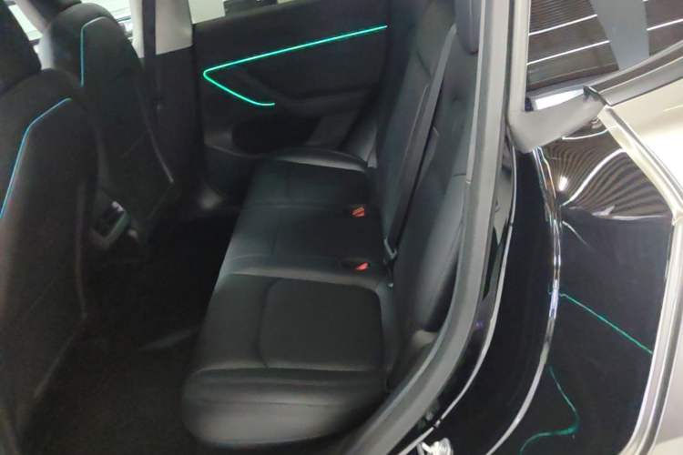 Used Tesla Model Y 2021 Revised Version 2 Long-Range All-Wheel-Drive Edition Left Rear Seat