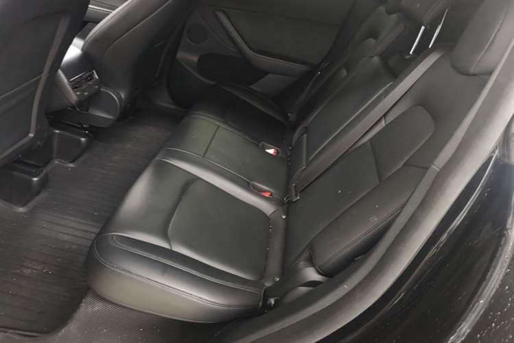 Used Tesla Model Y 2021 Standard Range Rear-Wheel Drive Version Left Rear Seat