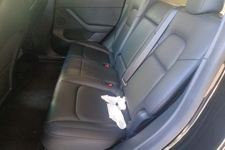 Used Tesla Model Y 2021 Standard Range Rear-Wheel Drive Version Left Rear Seat
