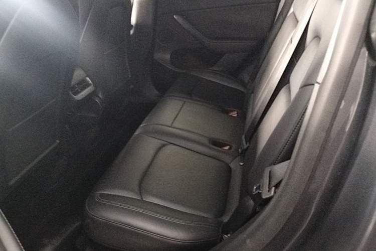 Used Tesla Model Y 2021 Standard Range Rear-Wheel Drive Version Left Rear Seat