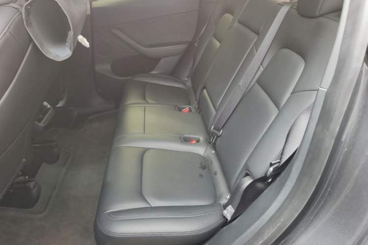 Used Tesla Model Y 2021 Long-Range All-Wheel-Drive Version Left Rear Seat