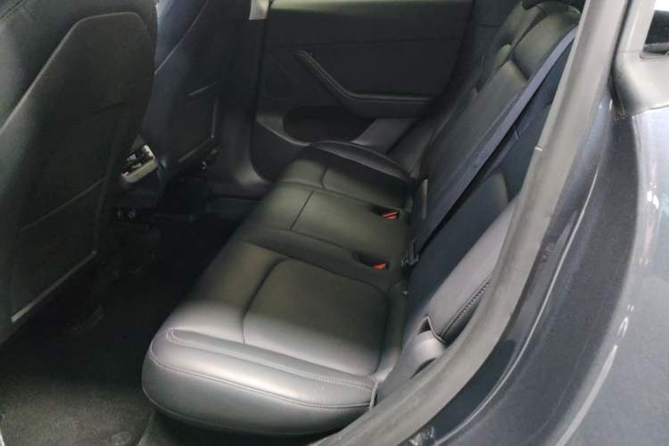 Used Tesla Model Y 2021 Standard Range Rear-Wheel Drive Version Left Rear Seat