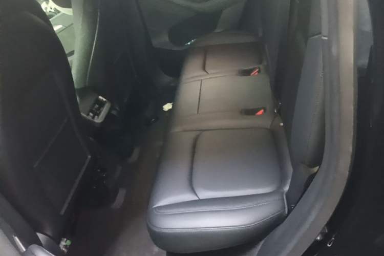 Used Tesla Model Y 2021 Standard Range Rear-Wheel Drive Version Left Rear Seat