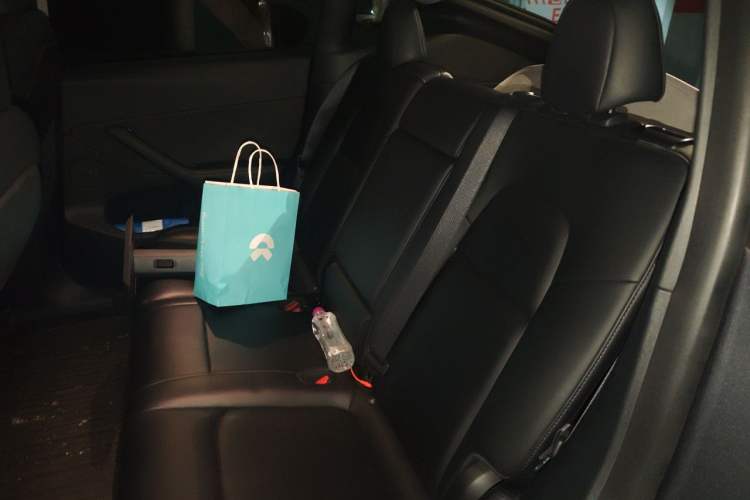 Used Tesla Model Y 2021 Performance High-Performance All-Wheel-Drive Version Left Rear Seat