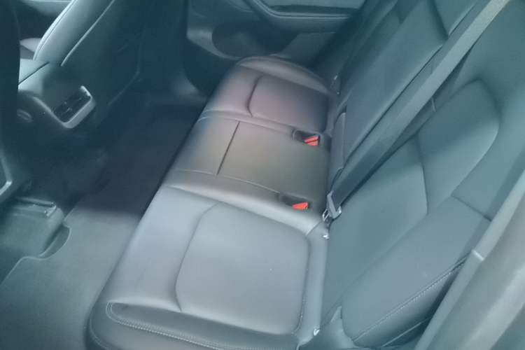 Used Tesla Model Y 2021 Standard Range Rear-Wheel Drive Version Left Rear Seat