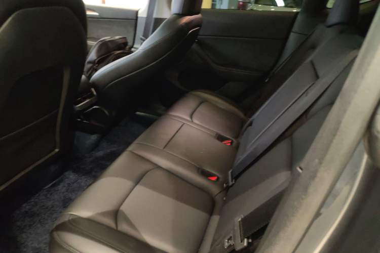 Used Tesla Model Y 2021 Long-Range All-Wheel-Drive Version 3D7 Left Rear Seat
