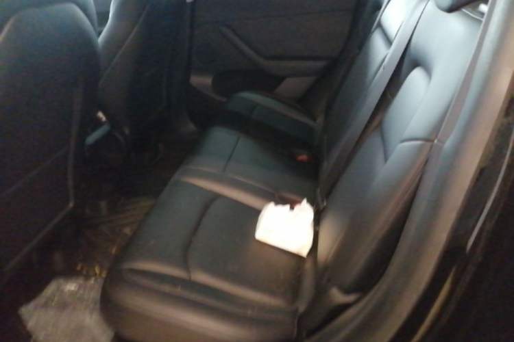 Used Tesla Model Y 2021 Standard Range Rear-Wheel Drive Version Left Rear Seat
