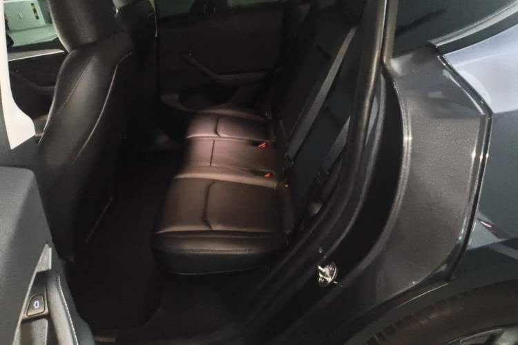 Used Tesla Model Y 2021 Revised Version 2 Long-Range All-Wheel-Drive Edition Left Rear Seat
