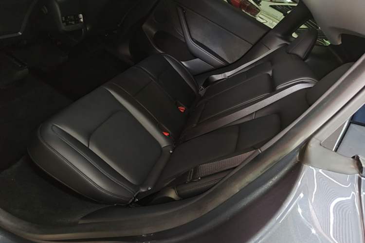Used Tesla Model Y 2021 Standard Range Rear-Wheel Drive Version Left Rear Seat