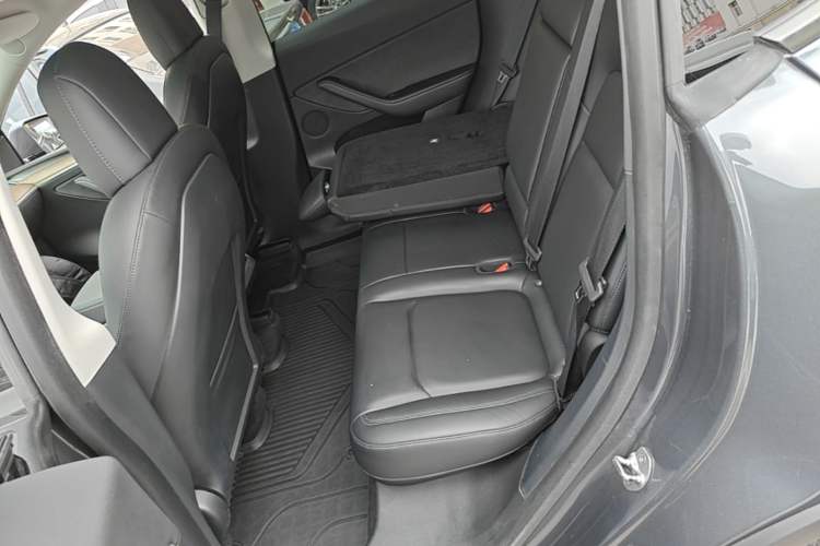 Used Tesla Model Y 2021 Standard Range Rear-Wheel Drive Version Left Rear Seat