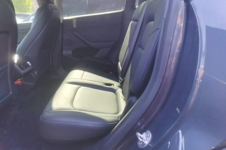 Used Tesla Model Y 2021 Long-Range All-Wheel-Drive Version Left Rear Seat