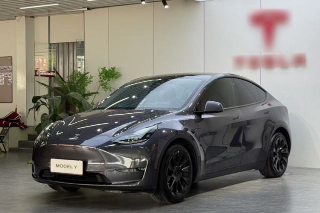 Used Tesla Model Y 2021 Long-Range All-Wheel-Drive Version