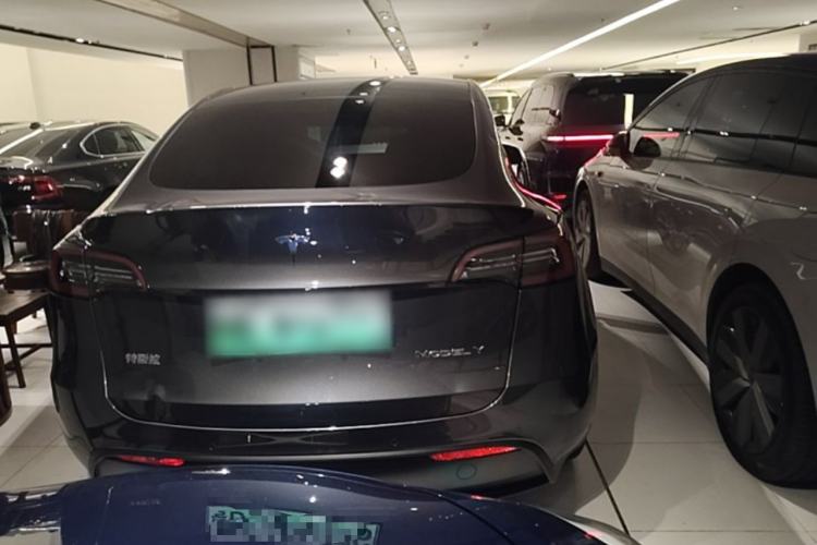 Used Tesla Model Y 2021 Standard Range Rear-Wheel Drive Version Rear