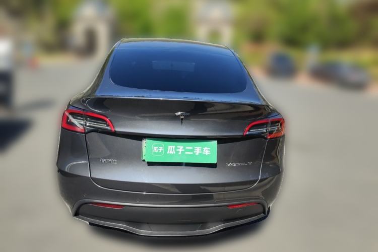 Used Tesla Model Y 2021 Standard Range Rear-Wheel Drive Version Rear