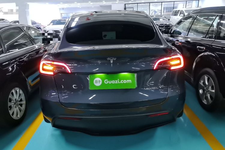 Used Tesla Model Y 2021 Standard Range Rear-Wheel Drive Version Rear