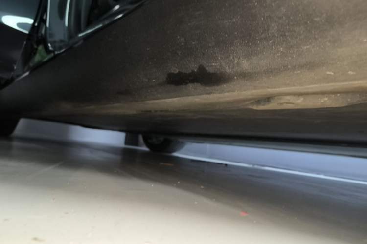 Used Tesla Model Y 2021 Performance High-Performance All-Wheel-Drive Version Right Side Sill