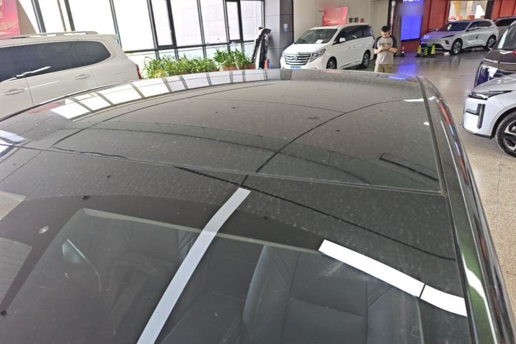 Used Tesla Model Y 2021 Standard Range Rear-Wheel Drive Version Roof