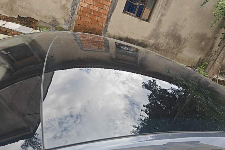 Used Tesla Model Y 2021 Standard Range Rear-Wheel Drive Version Roof