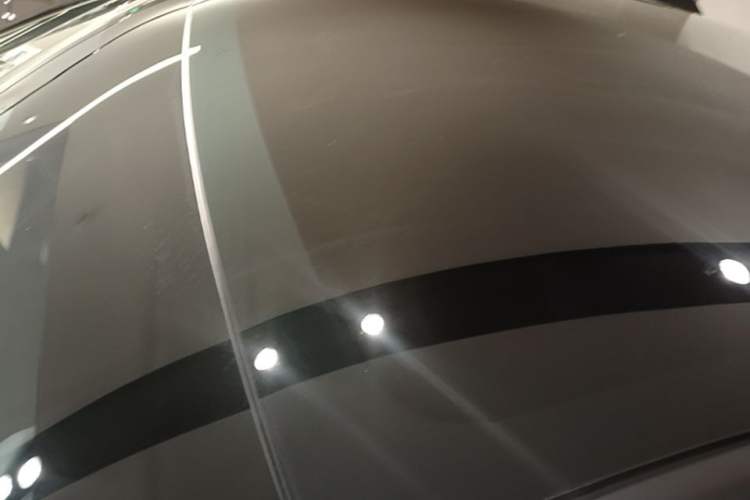 Used Tesla Model Y 2021 Standard Range Rear-Wheel Drive Version Roof