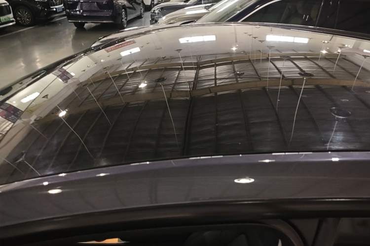 Used Tesla Model Y 2021 Long-Range All-Wheel-Drive Version Roof