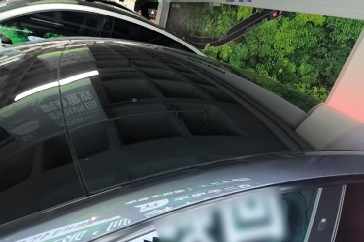 Used Tesla Model Y 2021 Performance High-Performance All-Wheel-Drive Version Roof
