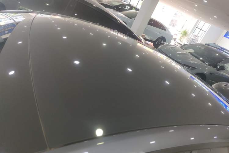 Used Tesla Model Y 2021 Standard Range Rear-Wheel Drive Version Roof