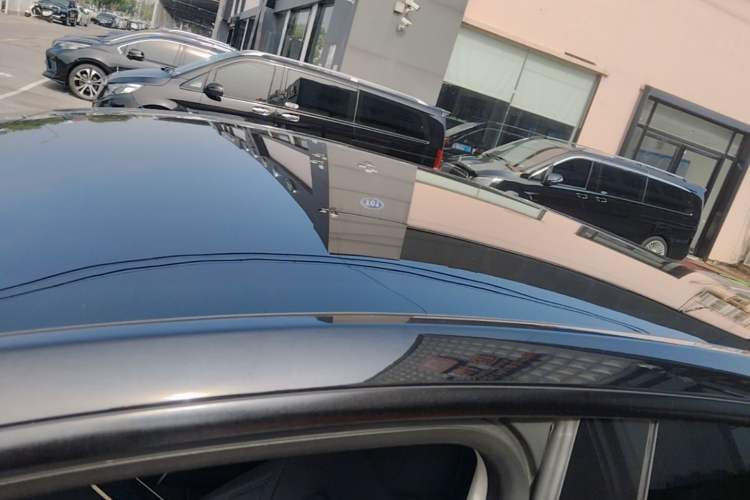 Used Tesla Model Y 2021 Standard Range Rear-Wheel Drive Version Roof